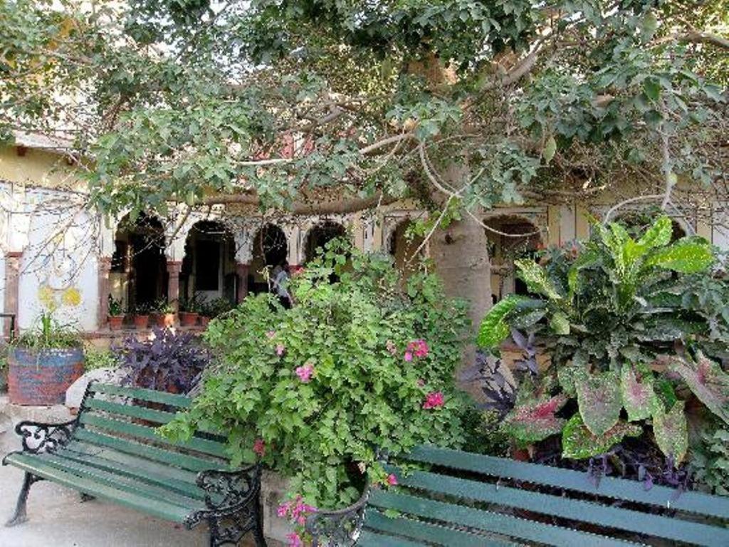 Bassi Fort Palace Chittorgarh Eksteriør bilde